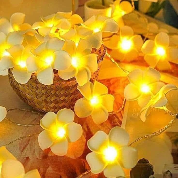 Curtain string fairy light