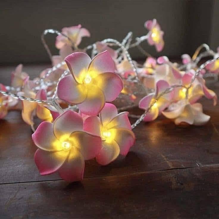 Kath golap pink light