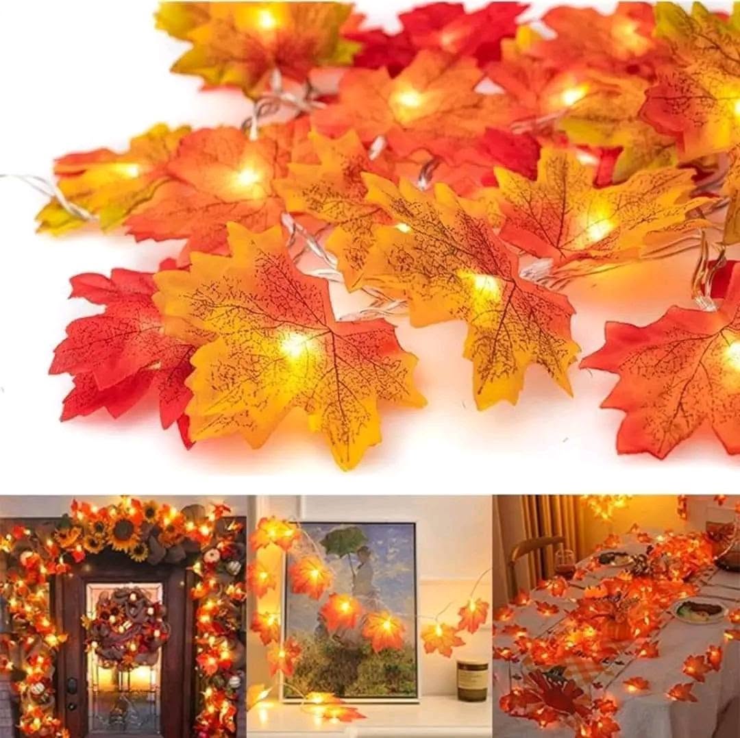 Maple 🍁leaf Fairy light